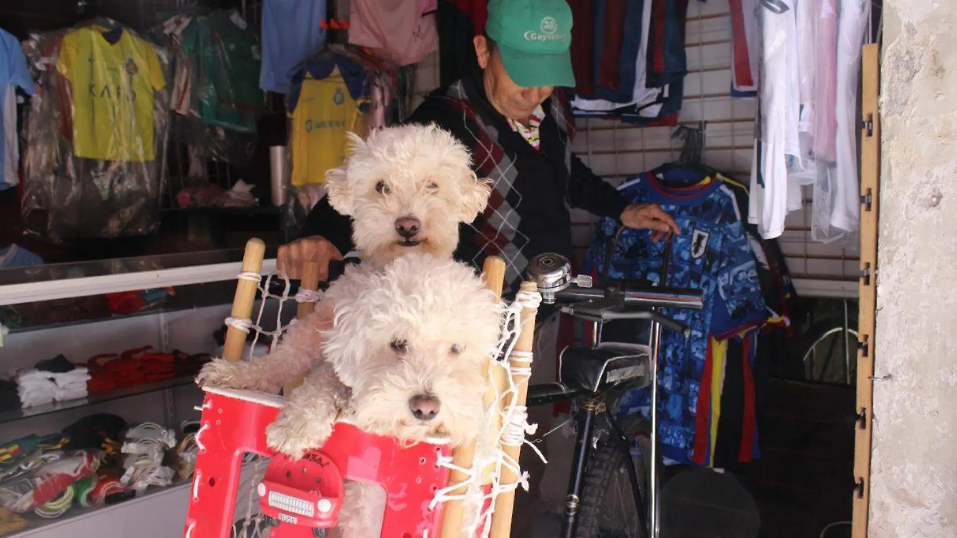 poblanos con mascotas